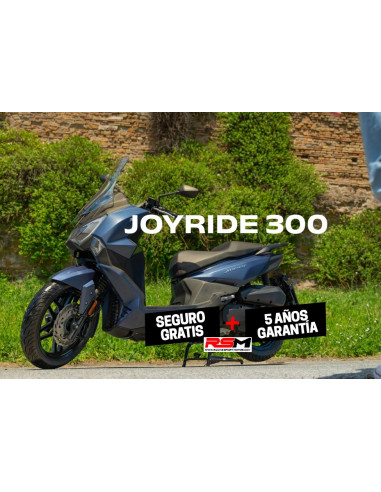 JOYRIDE 300