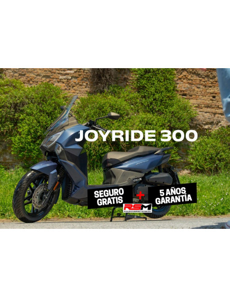 JOYRIDE 300